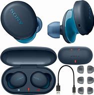 Image result for Sony Earbuds Blue Wired