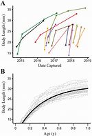 Image result for Vertical Shift Graph