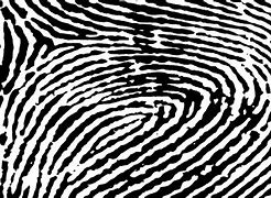Image result for 442 Fingerprint Scanner