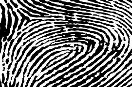 Image result for Windows Fingerprint Unlock
