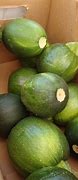 Image result for Green Squash