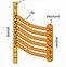 Image result for Diaphragm Respiratory System