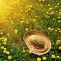 Image result for Yellow Nature Wallpaper