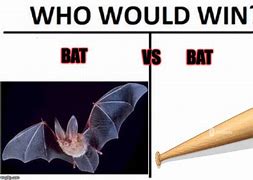 Image result for Bat Dog Meme
