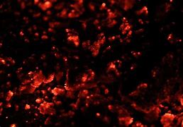 Image result for Red Fire Texture