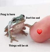 Image result for Cute Frog Memes