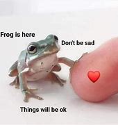 Image result for Sad Frog Meme Funny