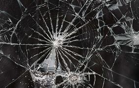 Image result for Animals Cracked Screen