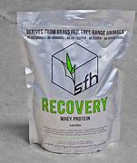 Image result for Best Protein for Recovery