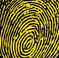 Image result for Yellow Fingerprint