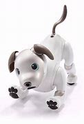 Image result for Aibo Cat