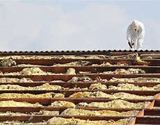 Image result for Asbestos Roof Insulation
