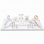 Image result for Jewelry Display Stand