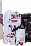 Image result for Cricket Accessories