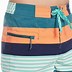 Image result for Patagonia Shorts