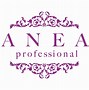 Image result for anea
