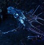 Image result for Alien Xenomorph Queen