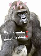 Image result for Harambe Funny