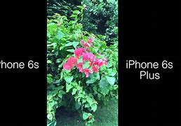 Image result for iphone 6s vs 6s plus