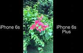 Image result for iPhone 6s Quakity