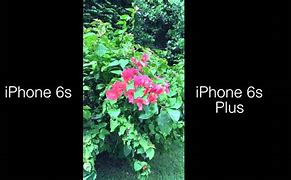 Image result for Back of iPhone 6s vs 6