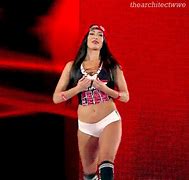 Image result for WWE Nikki Bella Hair