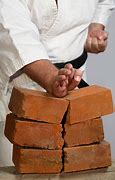 Image result for Karate Brick Stock