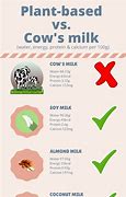 Image result for Cashew Milk vs Cow Milk