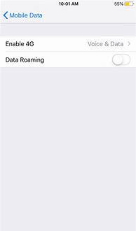 Image result for iPhone Cellular Data 4G