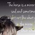 Image result for Quotes On Horses