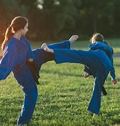 Image result for Deadly Martial Arts