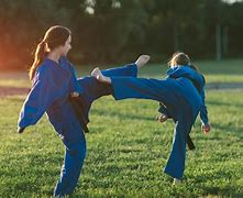 Image result for What Is the Deadliest Martial Art