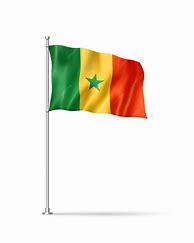 Image result for Senegal Flag