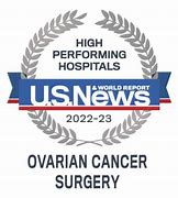 Image result for Chris Evert Ovarian Cancer