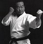 Image result for Shotokan Karate Martial Arts