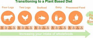 Image result for Examples of Plant Based Diet
