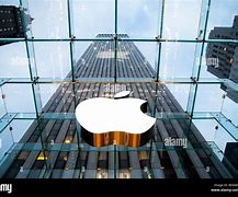 Image result for New York Apple Store Inside