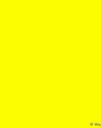 Image result for Yellow Wallpaper for Android