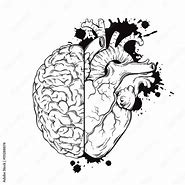 Image result for Heart and Brain Sketch