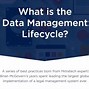 Image result for Data Management Cartoon