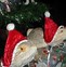 Image result for Christmas Animals Saying Funny