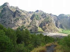 Image result for Mount Vesuvius Victims