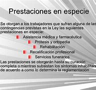 Image result for Prestaciones En Especie