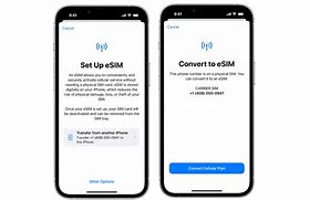 Image result for iPhone eSIM Card