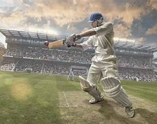 Image result for Cricket Photography Free
