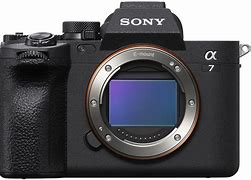 Image result for Large Megapixel Mirrorless Camera