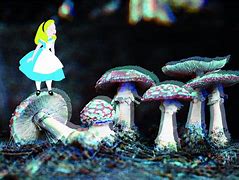 Image result for Alice Wonderland Trippy Wallpaper for PC