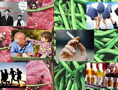 Image result for Meat Eaters vs Plant Eaters