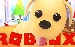 Image result for Sly Dog Roblox