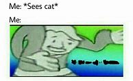 Image result for Ascended Cat Meme